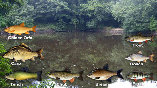 Teapot Dam - Goose Eye - Laycock, Keighley