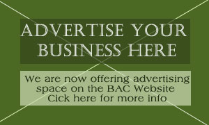 advertise your business